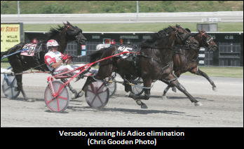 Trainers Weigh In On Adios