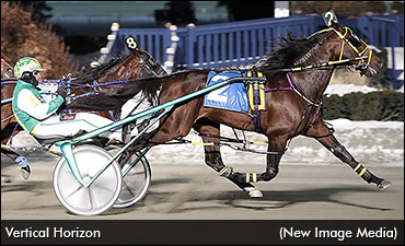 New Stallions For Meridian