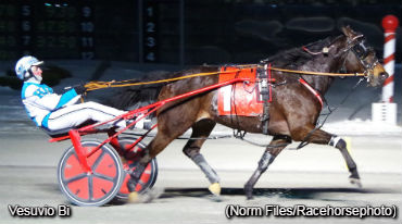 Vesuvio Bi Romps In Preferred Trot