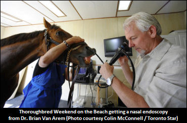 Riding With A Backstretch Vet