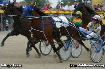 Filly Flying Home At 'The Hawk'