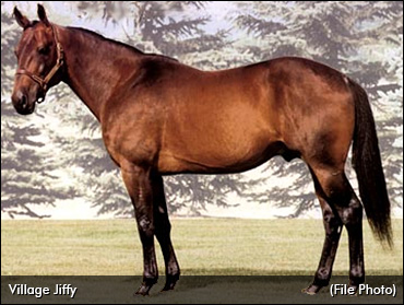 Village Jiffy Passes