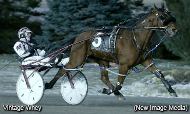 McNair Sweeps Blizzard Divisions