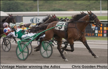 Takter Taking His Time