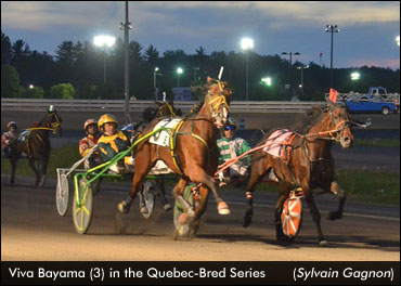 Repeat Winners In Quebec Series