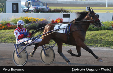 Filly Breaks 19-Year-Old Record