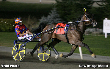 Vivid Photo Bringing Home The Bacon