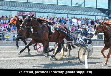 Volstead To Stand Stud