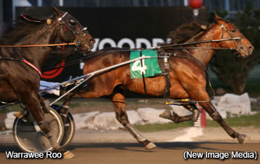 'Roo' Rallies To Preferred Victory