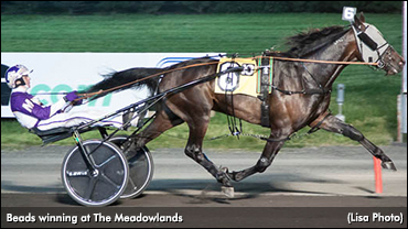 Beads With A Big Bounce Back