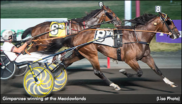 Gimpanzee Jolts To Graduate Win