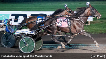 Longshots Land In 'Pace' Elims