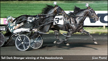 Tall Dark Stranger Strolls In ‘Pace’ Elim