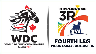 Hippodrome 3R's WDC Leg Set