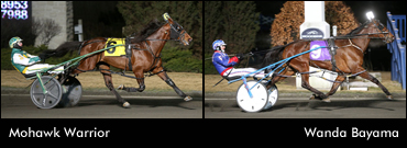 Series Winners Share The Spotlight