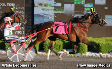 Angus Hall Fillies Sweep OSS