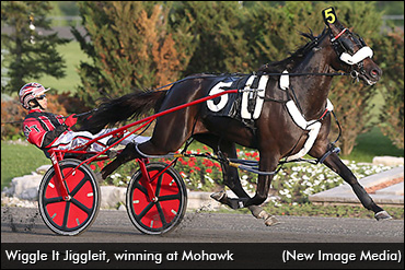 Wiggle It Jiggleit Qualifies Again