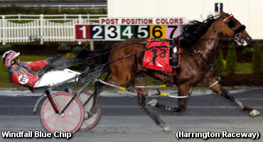 Windfall Blue Chip Ties Track Record