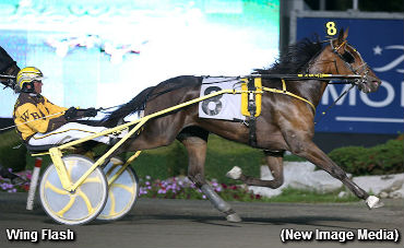 Fillies Impress In Final Grassroots