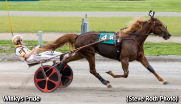 Winkys Pride Sets Buffalo Record