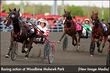 In The Mood Strikes Winning Note