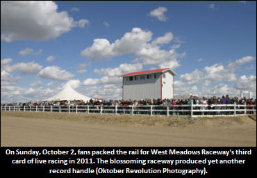 West Meadows Produces Another Record Handle