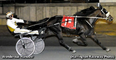 Harrington Record To 'Wonderous'