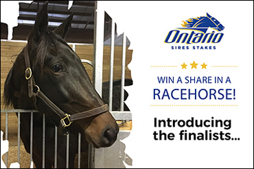 Win A Share Finalists Announced