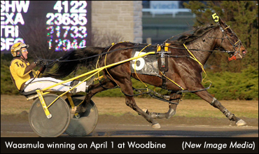 Waasmula Prevails In Mares Preferred