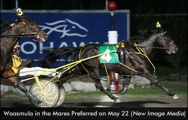 Waasmula Repeats In Preferred