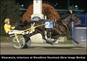 Waasmula Retired