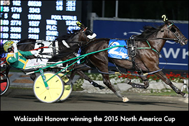 Wakizashi Hanover Retired
