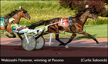 Owners Go All In On Impressive Colt