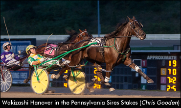 'Wakizashi' Scores Sires Stakes Win
