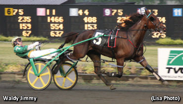 Summer Survivor Sequel At Big M