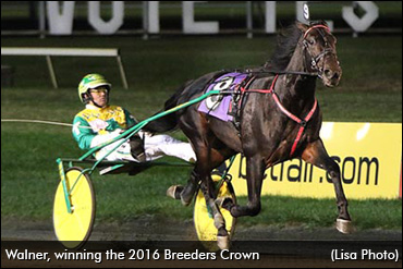 Walner To Miss The Hambletonian