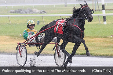 Walner Returns With Authority