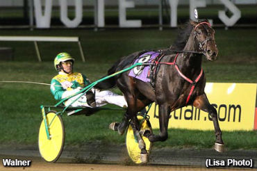 Crown Champs Win In Kindergarten