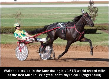 Walner Retired, Being Syndicated