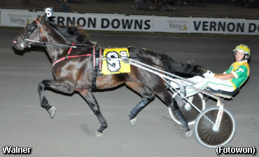 Walner Sparkles In NY Sire Stakes