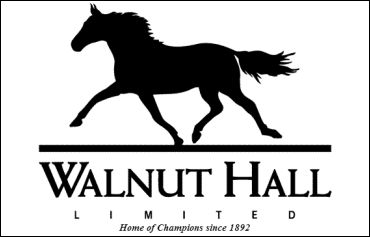 Walnut Hall Yearling Videos Now Online