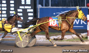 Wanaka Clicks In Celias Counsel