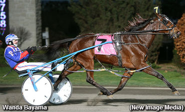 Stakes, Milestones At Woodbine