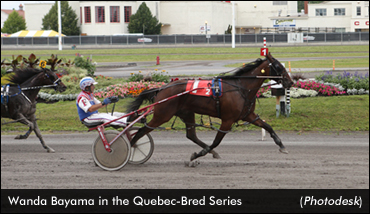 Wanda Bayama Repeats In Series