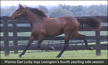 Wanna Get Lucky Tops Fourth Session