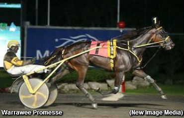 Six Straight For Warrawee Promesse