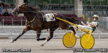 Fillies Impress In PA Sire Stakes Action