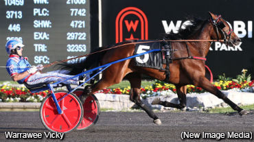 Warrawee Vicky Impresses Again