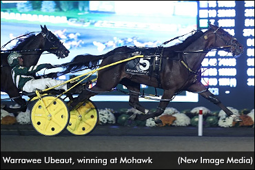 Sophomore 'Beauts' Test Older Foes