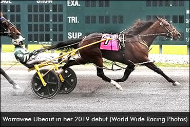 Lovely Debut For Warrawee Ubeaut